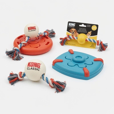 Variety of safe and engaging Labrador toys on a clean background